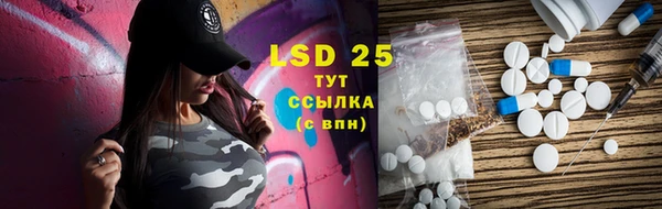 PSILOCYBIN Беломорск