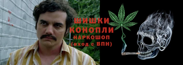 хмурый Туринск