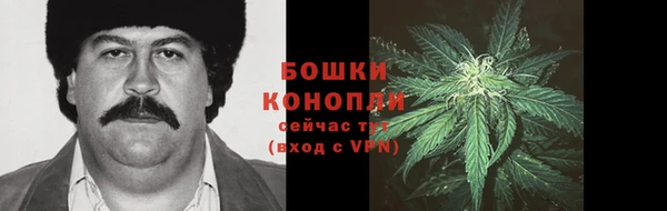 крисы Белоозёрский