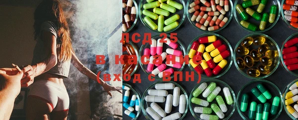 PSILOCYBIN Беломорск