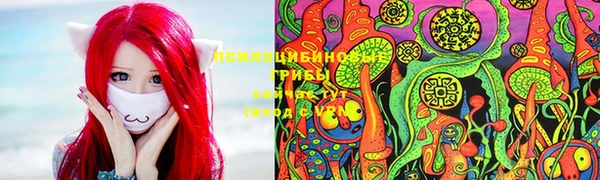 PSILOCYBIN Беломорск