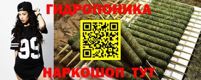 шишки Ливны