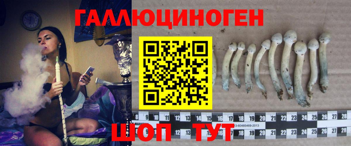 Галлюциногенные грибы MAGIC MUSHROOMS  Галлюциногенные грибы Psilocybe  Вход с VPN  Гусев 