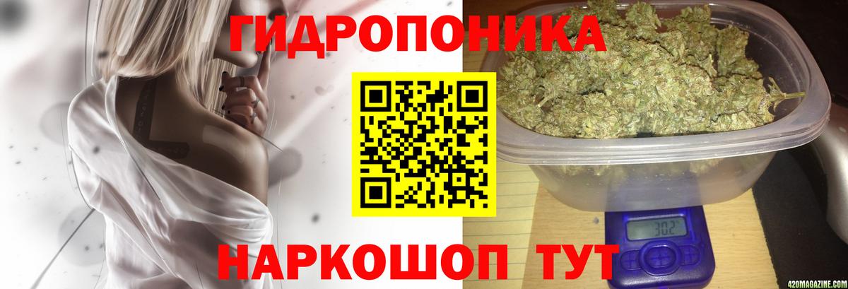 Бошки марихуана VHQ  Шишки марихуана гибрид  Канабис White Widow  Гусев  Вход с VPN  Каннабис индика 